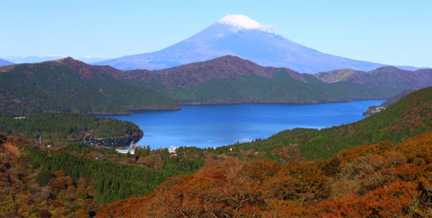 箱根の紅葉